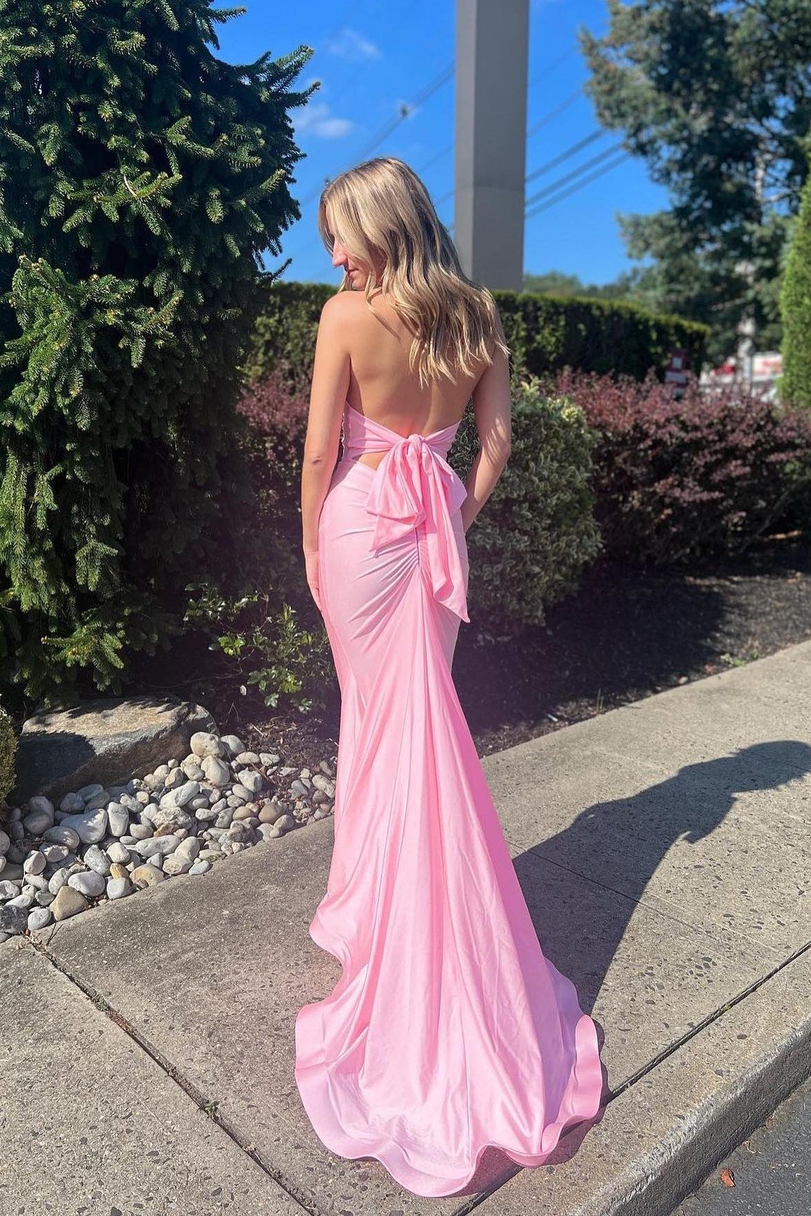 Plunge Neck Pink Open Back Mermaid Long Dress – PollyBoutique