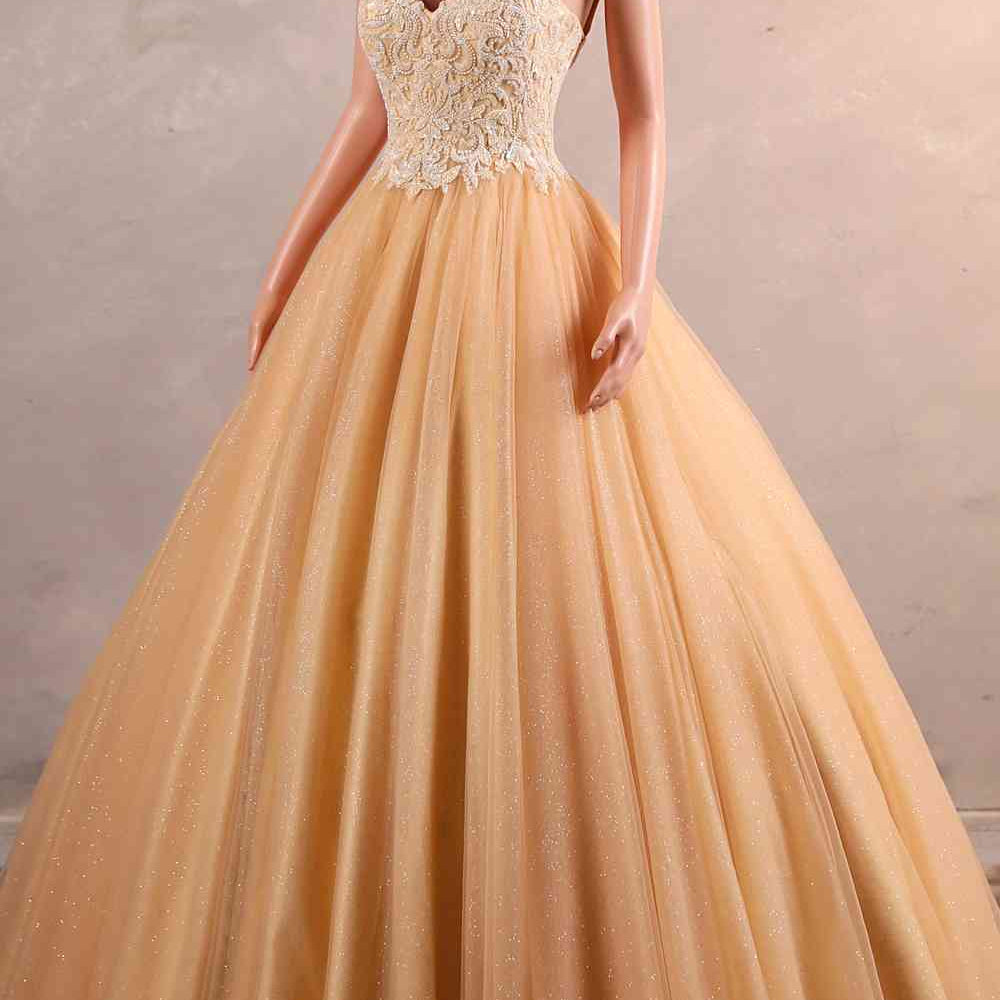 
                      
                        Light Orange Appliques A-line Tulle Long Dress
                      
                    