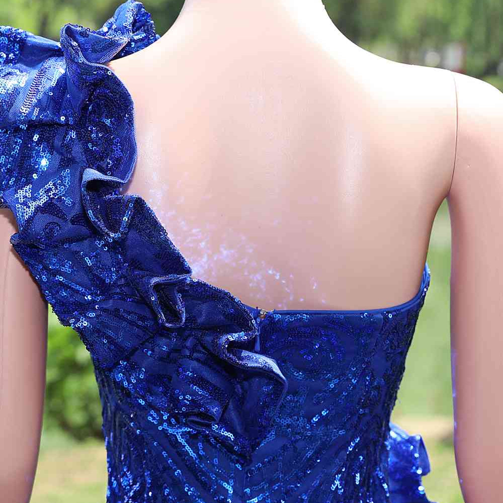 
                      
                        One Shoulder Royal Blue Sequin Long Dress
                      
                    