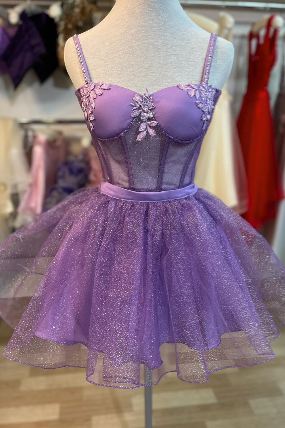 Purple Appliques A-line Short Princess Dress