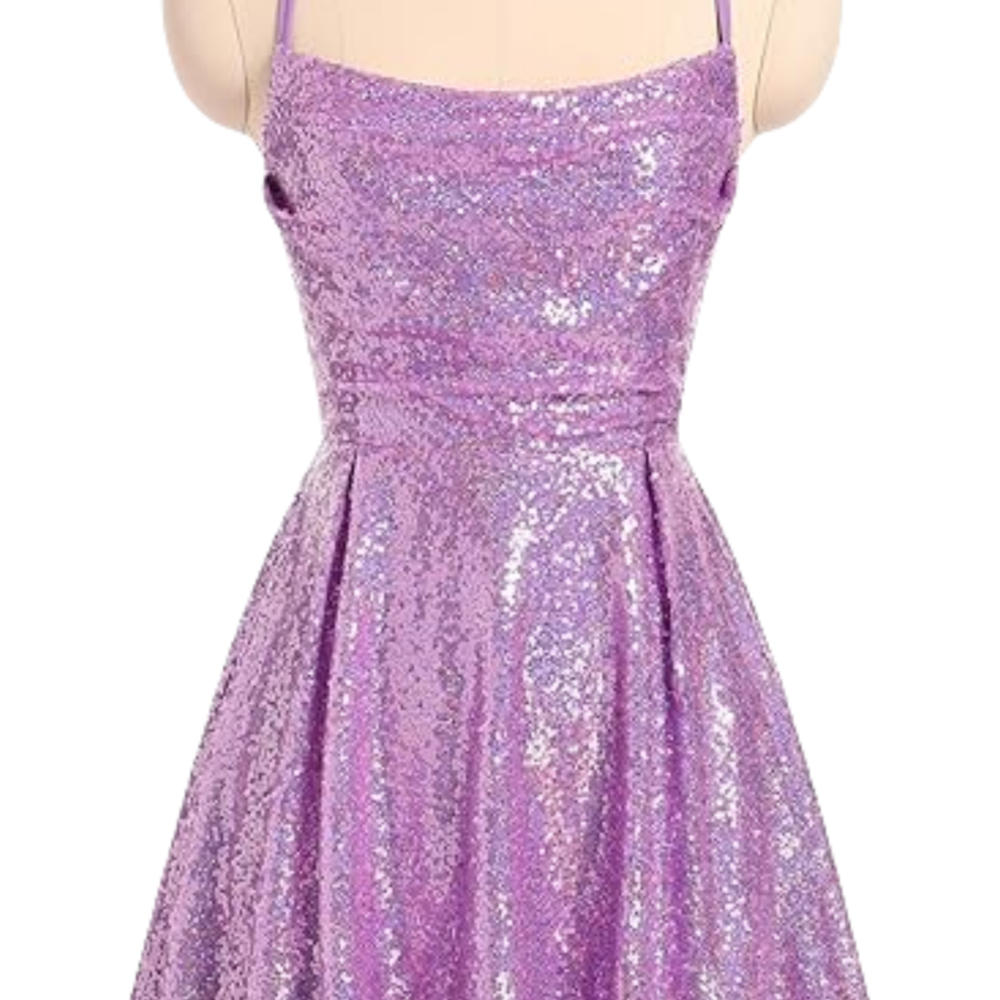
                      
                        Square Neck Lilac Sequin A-line Short Dress
                      
                    