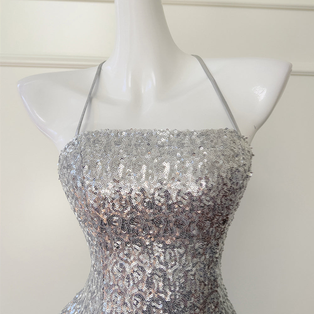 
                      
                        Square Neck Silver Sequin A-line Short Dress
                      
                    
