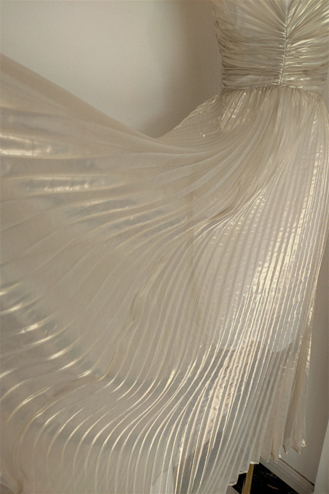 
                      
                        V-neck Silver Pleated A-line Long Dress
                      
                    