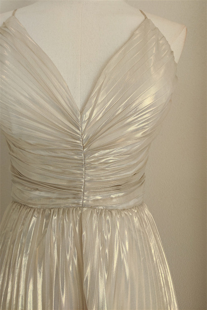 
                      
                        V-neck Silver Pleated A-line Long Dress
                      
                    
