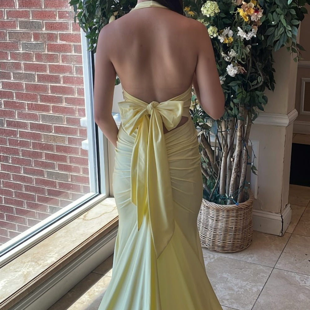 
                      
                        Plunge Neck Pink Open Back Mermaid Long Dress
                      
                    